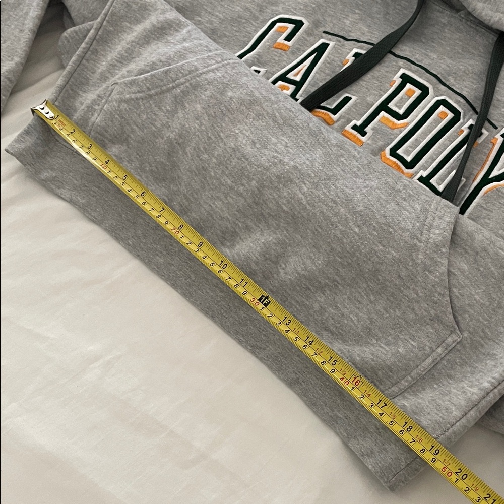Cal Poly Pomona Y2K vintage Gray Hoodie OURAY Large - Picture 5 of 6